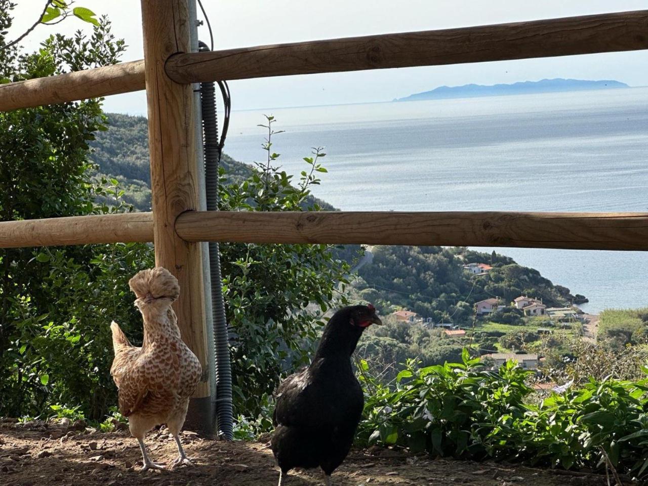 Agriturismo Paradisa Rio nell'Elba Exterior foto