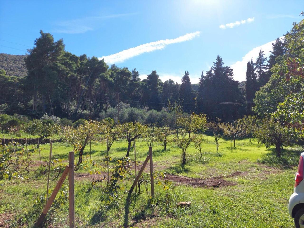 Agriturismo Paradisa Rio nell'Elba Exterior foto