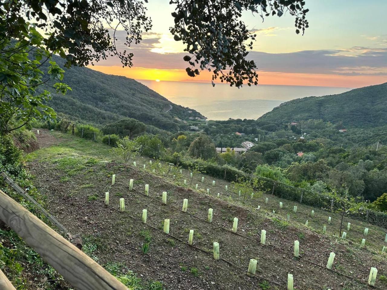 Agriturismo Paradisa Rio nell'Elba Exterior foto